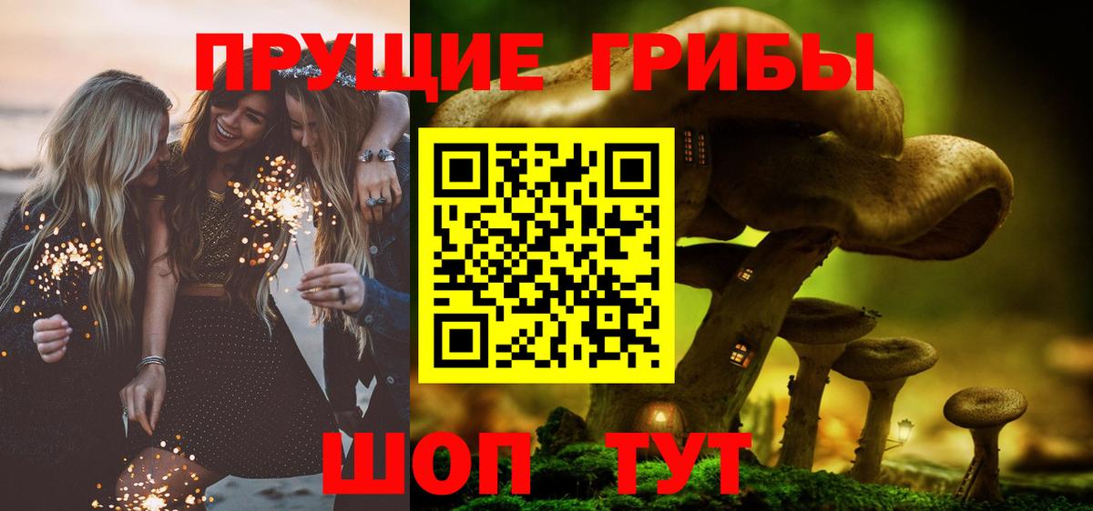 Псилоцибиновые грибы Cubensis Новочеркасск